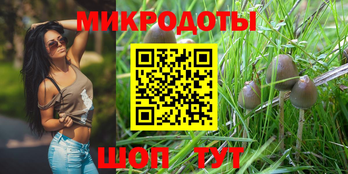 Галлюциногенные грибы Psilocybine cubensis Черемхово