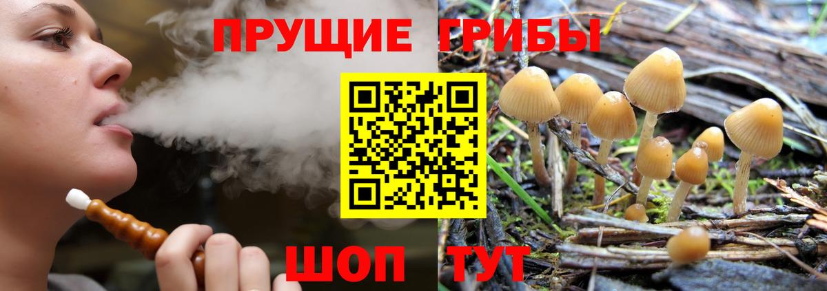Псилоцибиновые грибы мицелий  Вход с VPN  Черемхово 